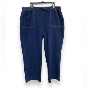D & Co DENIM Women’s Plus Size Denim Pull on Jeans Size 2XL